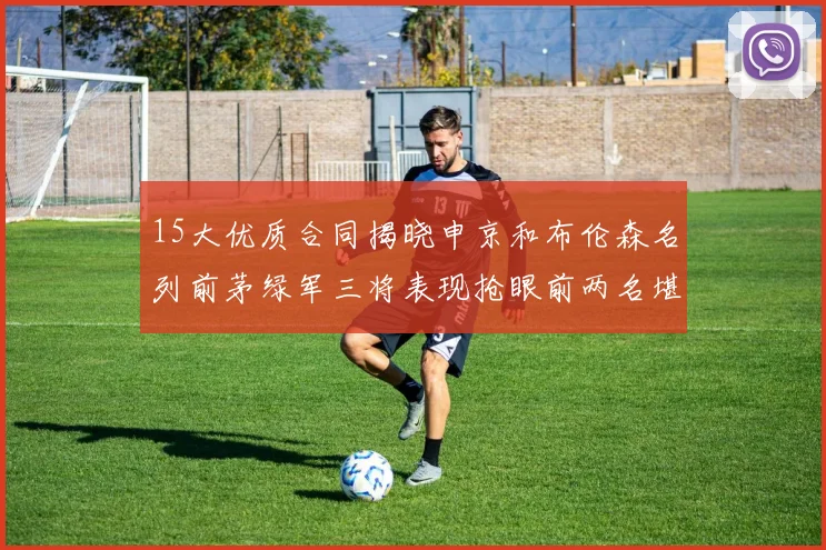 15大优质合同揭晓申京和布伦森名列前茅绿军三将表现抢眼前两名堪称传奇
