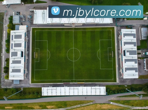 金贝娱乐平台生态图